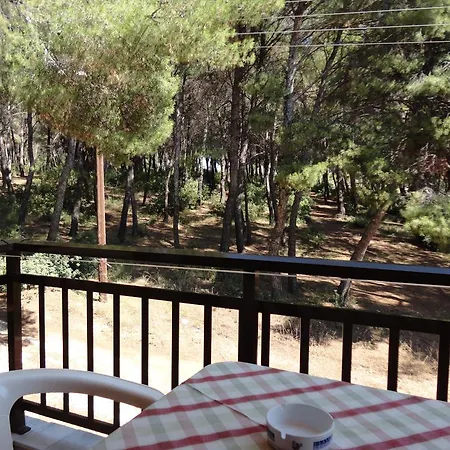 Maik Apartment Metamorfosi (Sithonia)